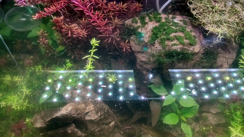 20250323_104512.jpg