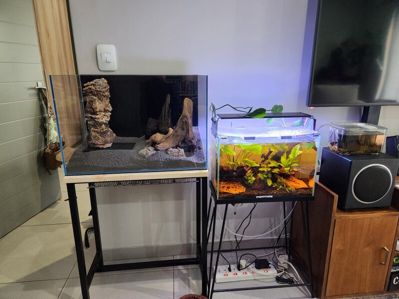 20250415_165009 (Medium).jpg