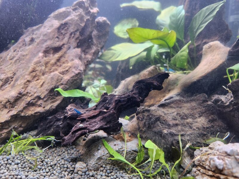 20250509_013452 (Medium).jpg