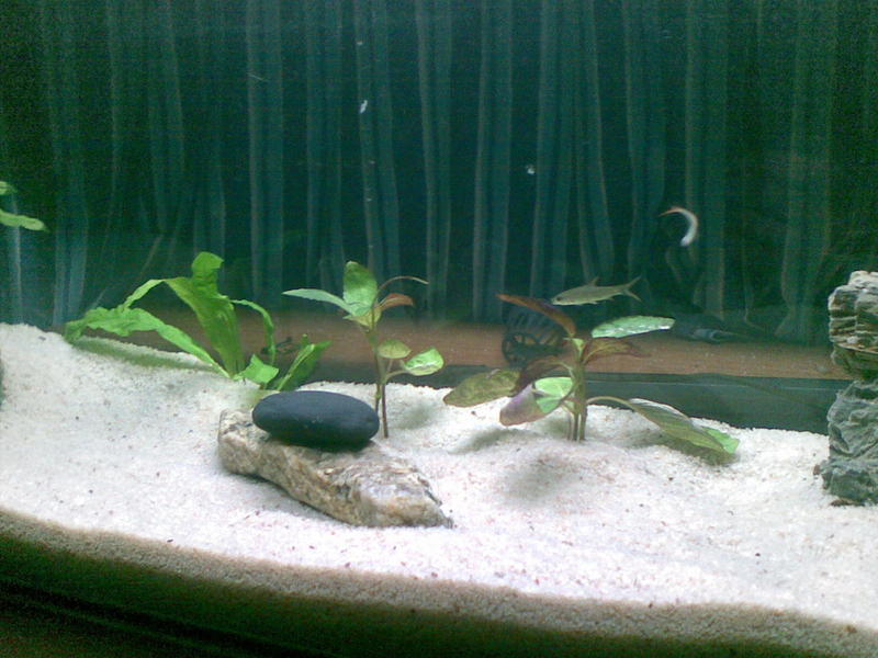 25032010(004).jpg