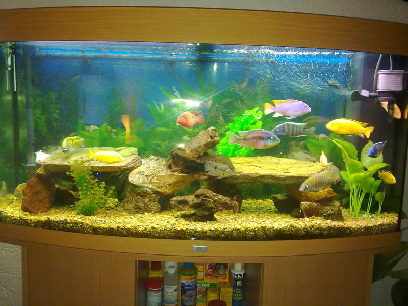 25112011058.jpg