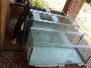 3 x 4ft tanks side-by-side (Mobile).jpg