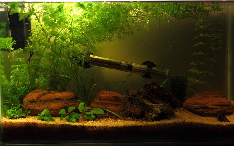 4 30L Tank 13-03-2012.jpg