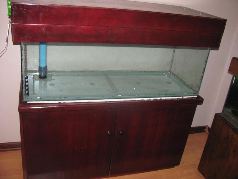4ft tank_1.jpg