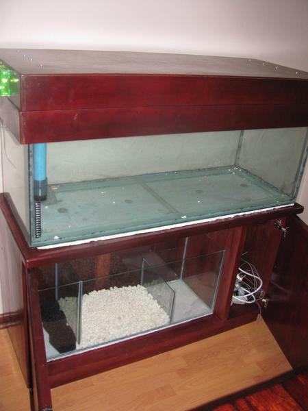 4ft tank_2.jpg