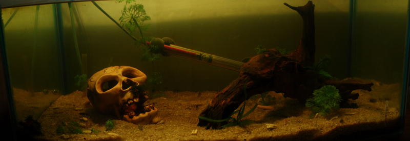 60 Liter 01-09-2011 klein.jpg