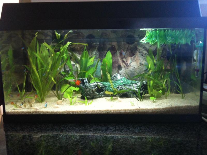 60L.jpg