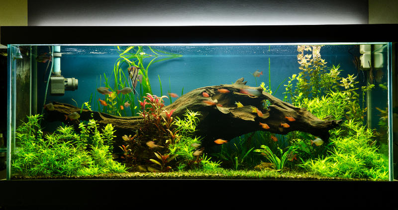 Amazon Biotope-1.jpg