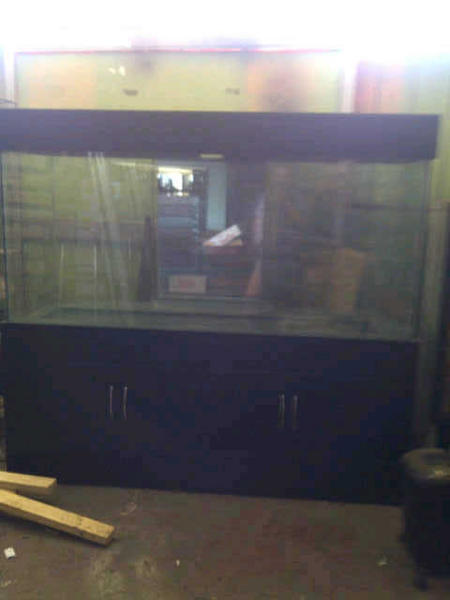 Benoni-20121205-01341.jpg