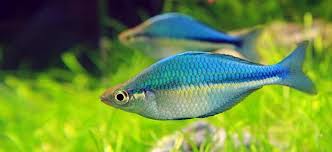 blue.jpg