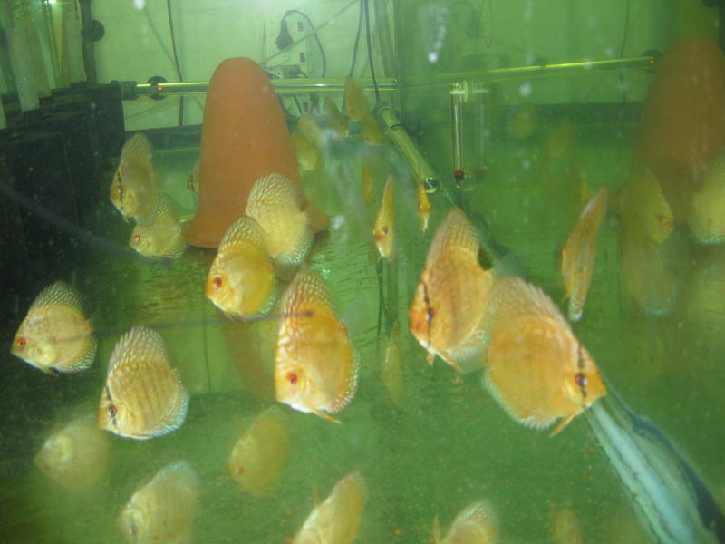 canon 12102012 104.jpg