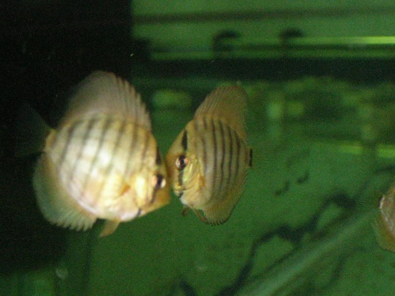 canon pics 043.jpg