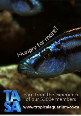 comp1ads-copy-jpg.jpg