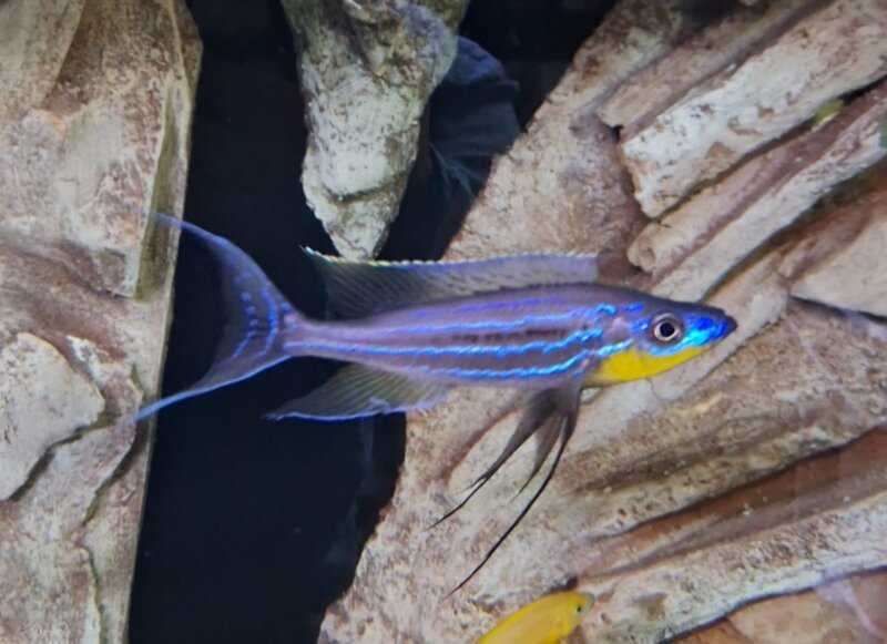 dd635e07-cb26-475b-81d5-0e776d5ce34d.jpg