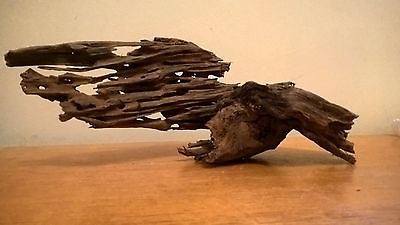 Driftwood cliff.jpg