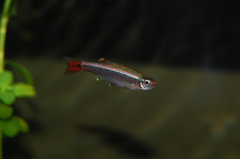 DSC_0004.jpg