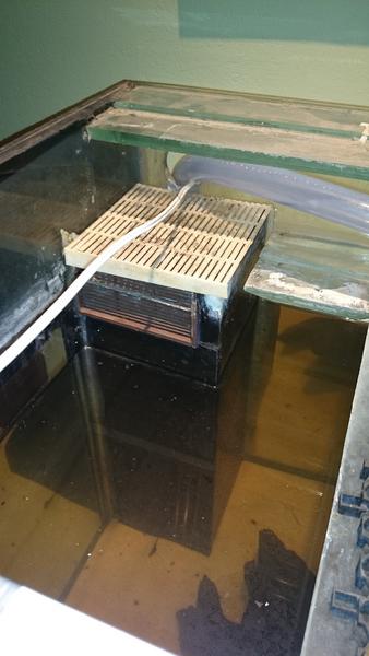 DSC_0030.jpg