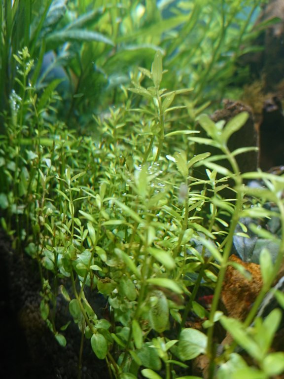 DSC_0265.JPG