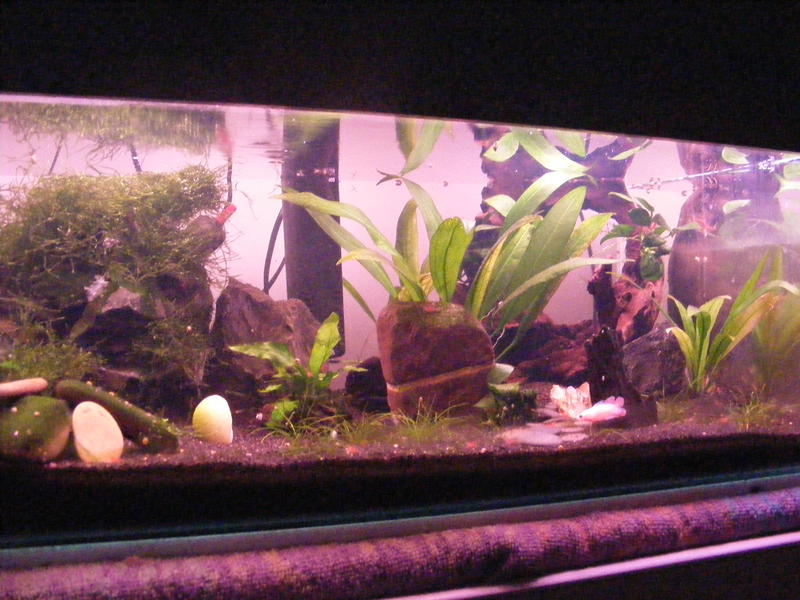 DSCF0230.jpg