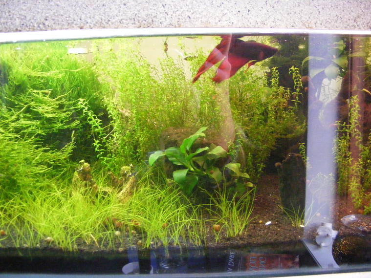 DSCF0370.jpg
