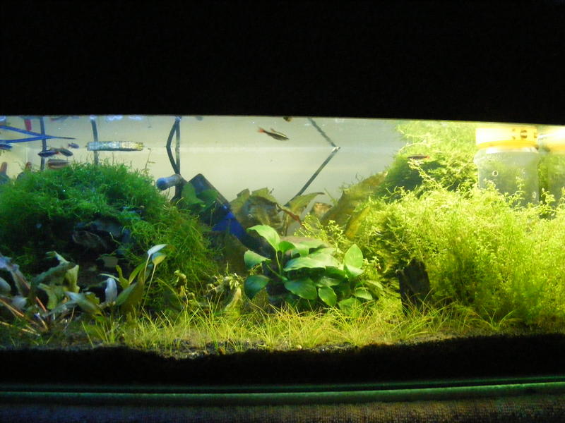 DSCF2032.jpg