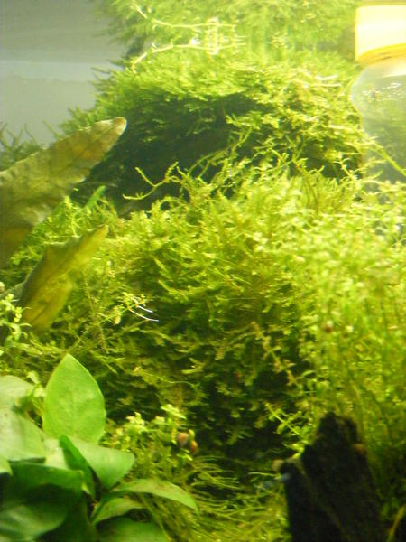 DSCF2034.jpg