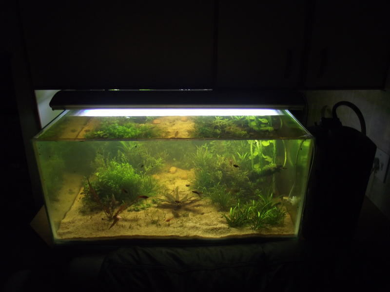 DSCF2337.jpg