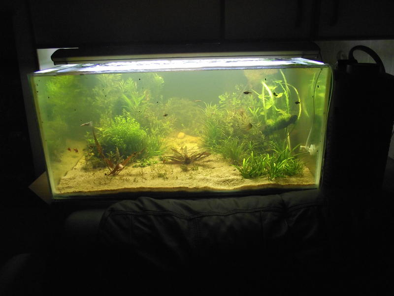 DSCF2338.jpg
