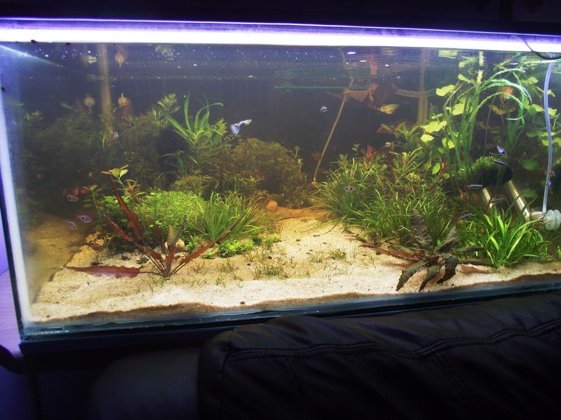 DSCF2343.jpg