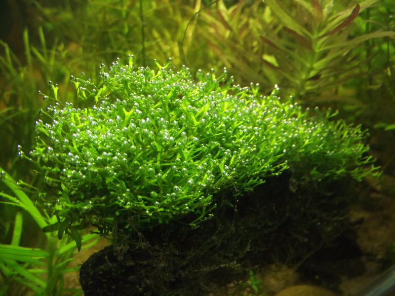 DSCF2367.jpg