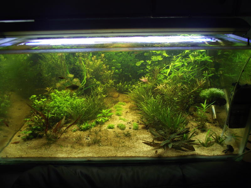DSCF2369.jpg