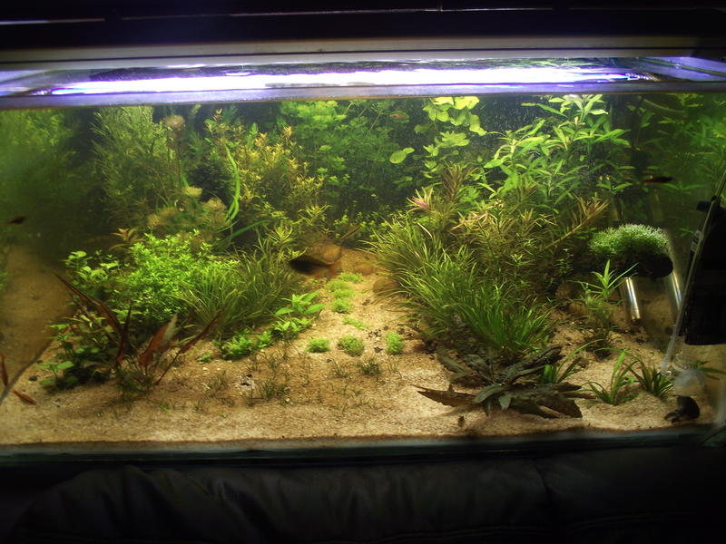 DSCF2370.jpg