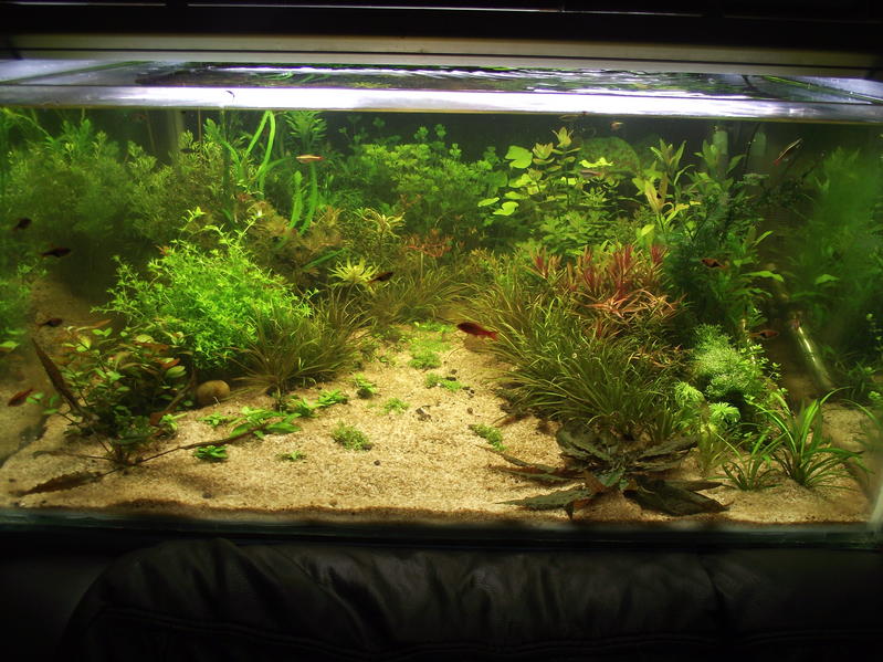DSCF2385.jpg