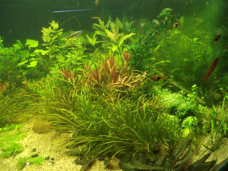 DSCF2386.jpg