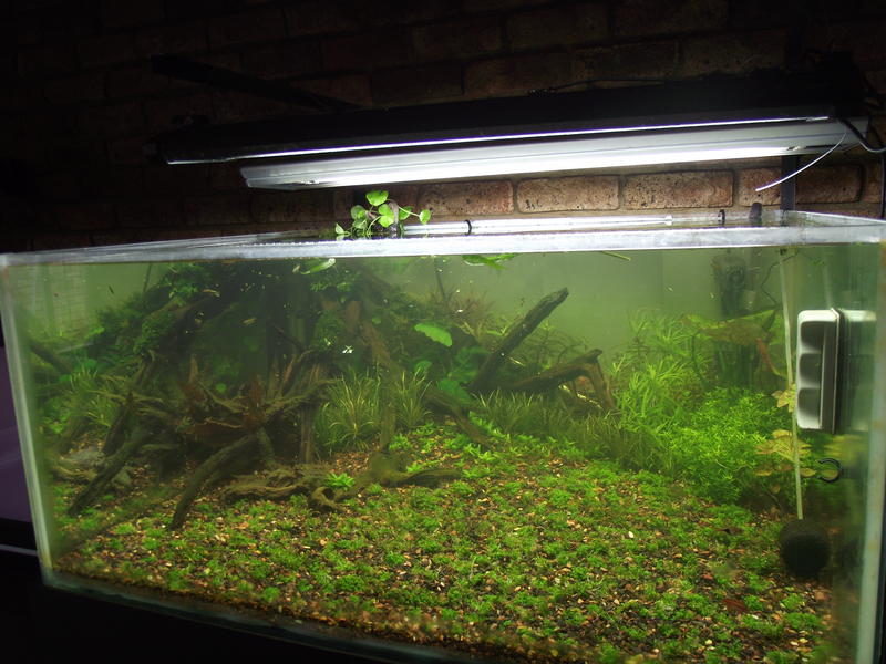 DSCF2391.jpg