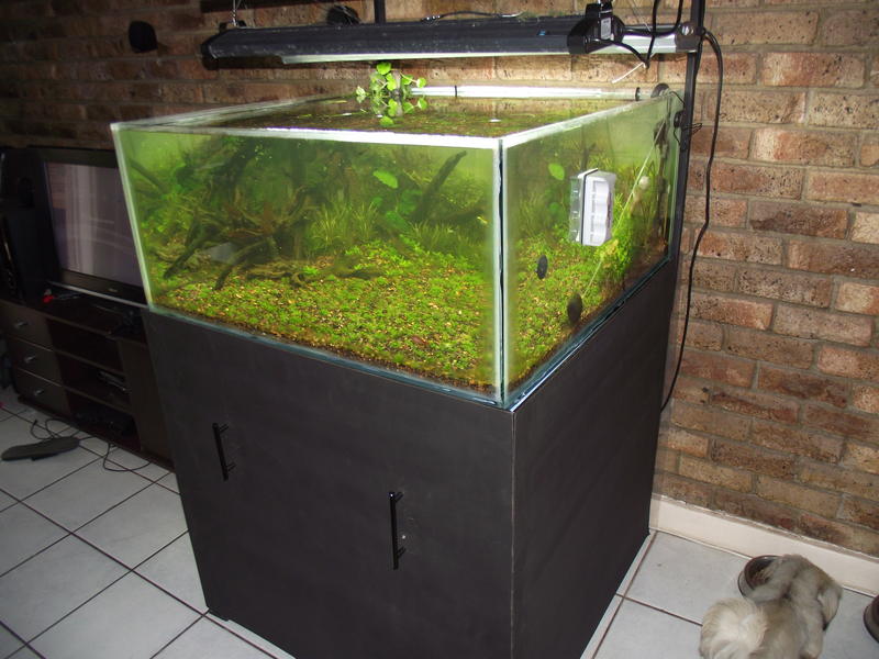 DSCF2394.jpg
