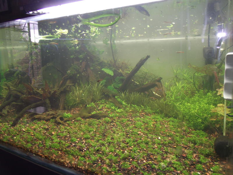DSCF2396.jpg