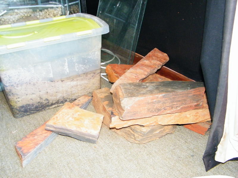DSCF4189.jpg