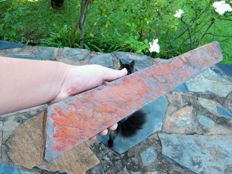 DSCF4190.jpg