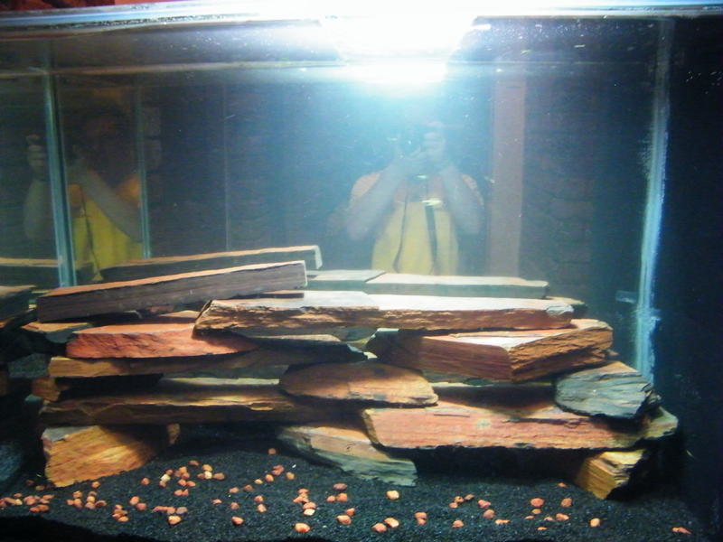DSCF4507.jpg