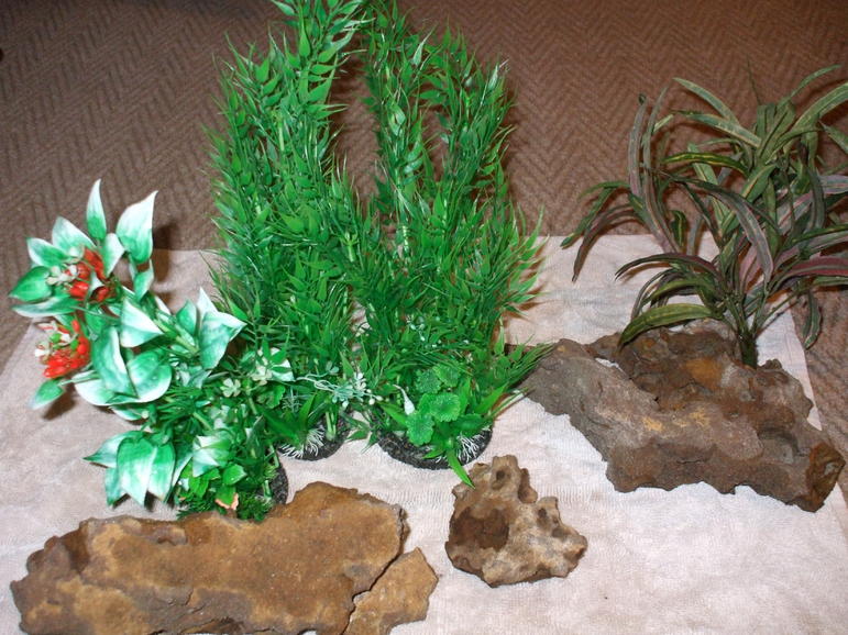 DSCF4542.jpg