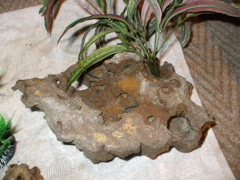 DSCF4545.jpg