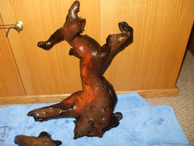 DSCF4550.jpg