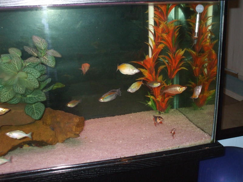 DSCF4595.jpg