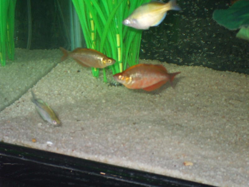 DSCF4596.jpg