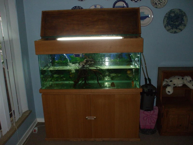 DSCF4599.jpg