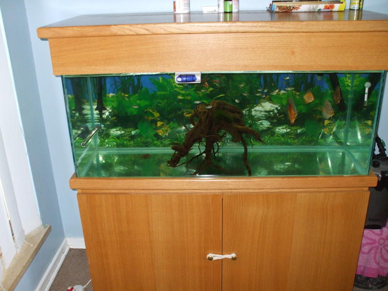 DSCF4606.jpg
