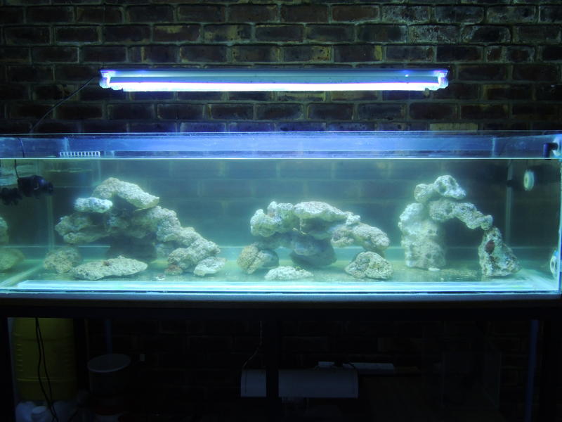 DSCN0052.jpg