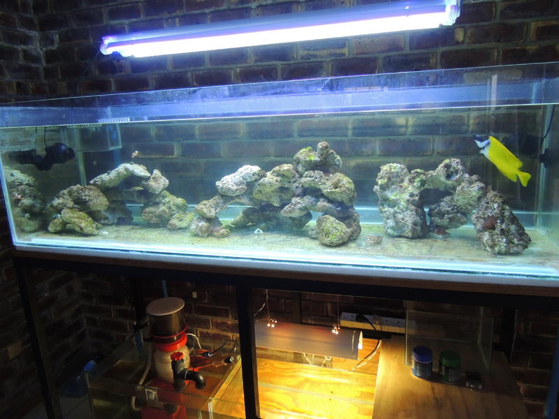 DSCN0166.jpg