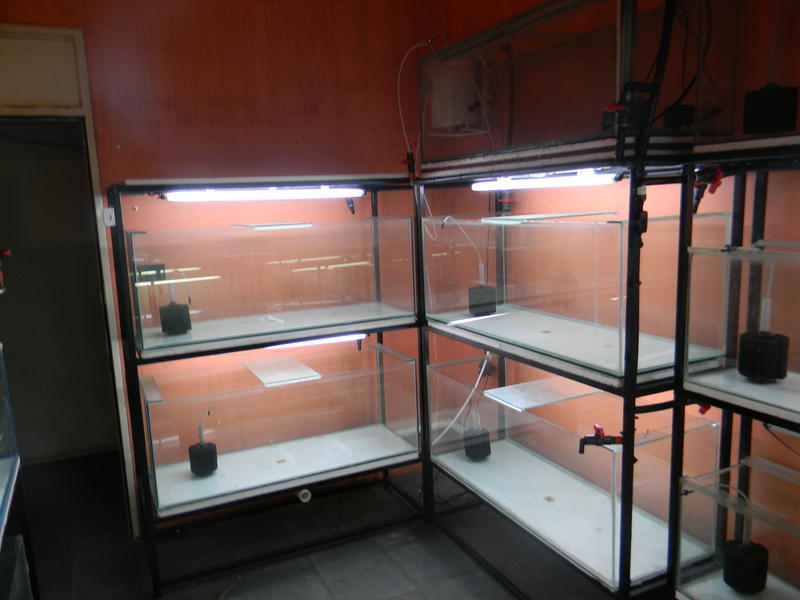 DSCN4183.jpg